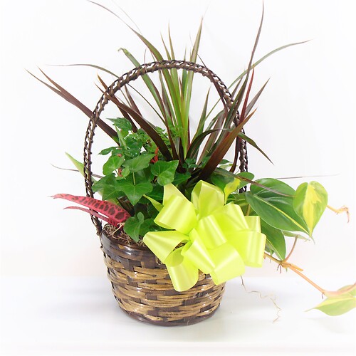 Small Basket Garden