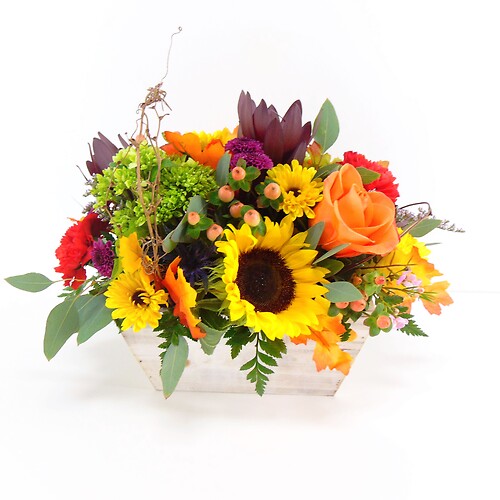 Festival of Fall Flower Box