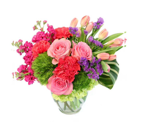 Tiptoe Through the Tulips